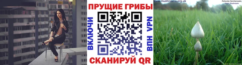 Галлюциногенные грибы мухоморы  Омутнинск 